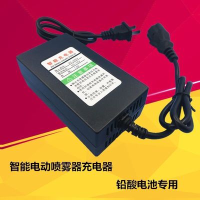 Motorcycle Electric Scooter 67.2V Lithium Ion Battery Chargers