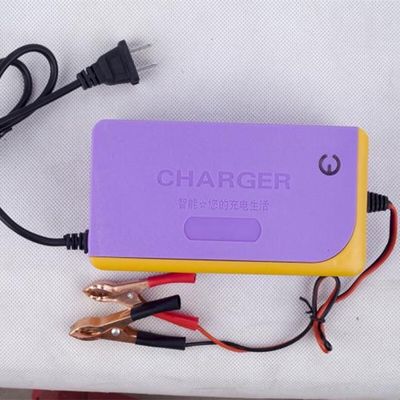 Electric Battery Charger DC 13.8V 15A lead acid Battery Charger With Automatic Protection