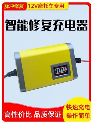 Microprocessor Control Travelscoot Battery Charger CE Input AC 180-220V 50Hz