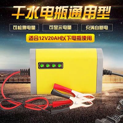 Microprocessor Control Travelscoot Battery Charger CE Input AC 180-220V 50Hz