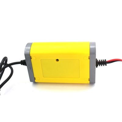 12v 24v Lead Acid Battery Chargers Smart Charge Intelligent Battery Charger