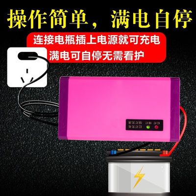 Portable 12V Lead Acid Battery Chargers For Universal EV Golf Car