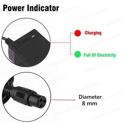 Li Ion 12 24V Lithium Battery Car Charger 48V Universal Rechargeable